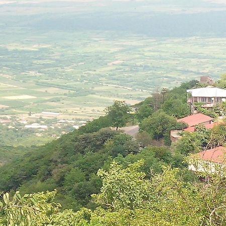 Green House Kachret'i Luaran gambar
