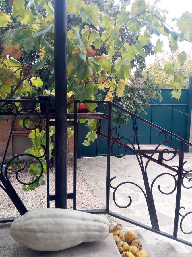 Green House Kachret'i Luaran gambar
